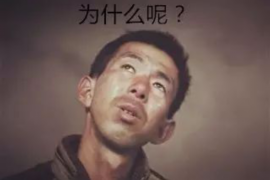 都挺好找舅舅要账