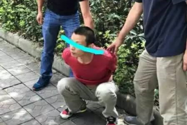 银行催收把人催死了——责任与应对的思考
